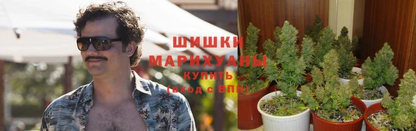 тгк Белоозёрский